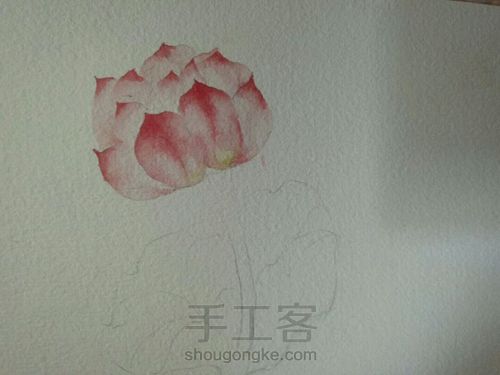 古风水彩单支荷花 第4步