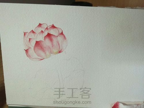 古风水彩单支荷花 第5步