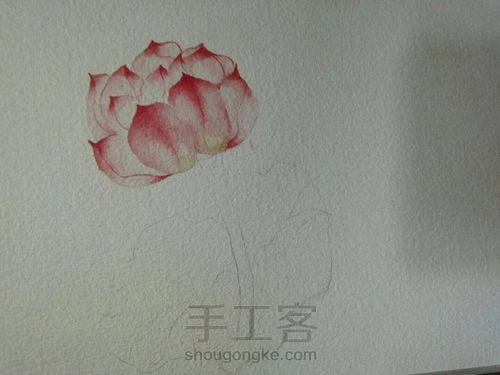 古风水彩单支荷花 第6步
