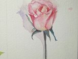 水彩单支玫瑰