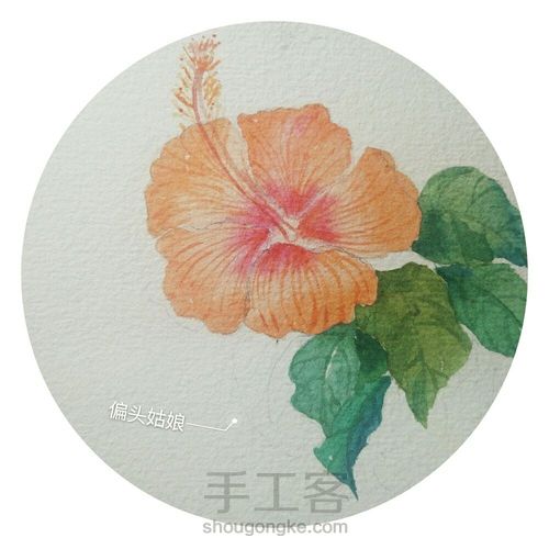 扶桑花:照吾槛兮扶桑,抚余马兮安驱 第1步