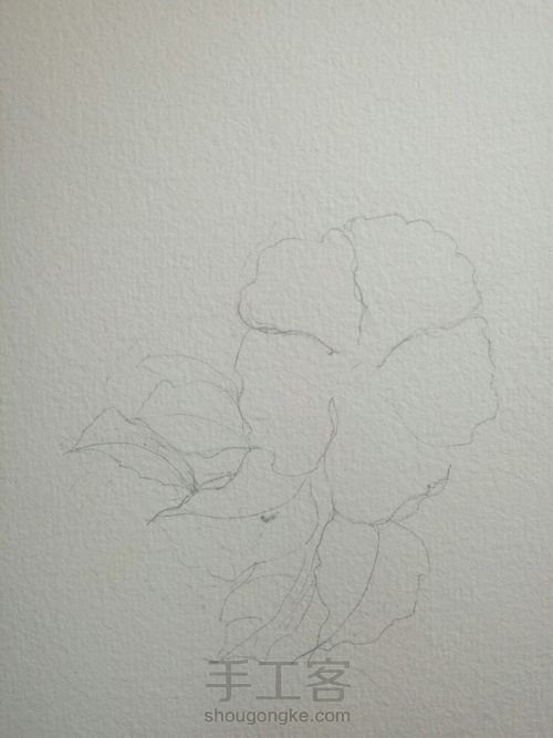 扶桑花:照吾槛兮扶桑,抚余马兮安驱 第2步