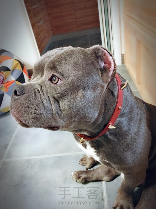 朋克风牛皮宠物项圈项链 第8步