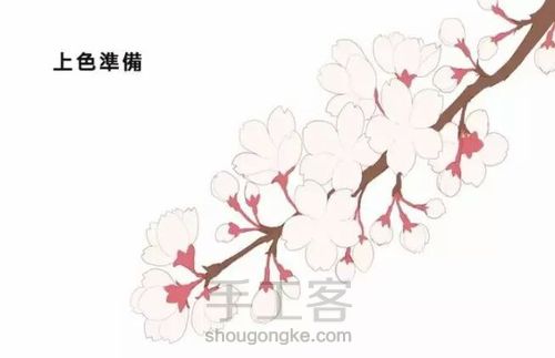 樱花绘画教程 第4步