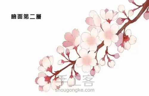 樱花绘画教程 第7步