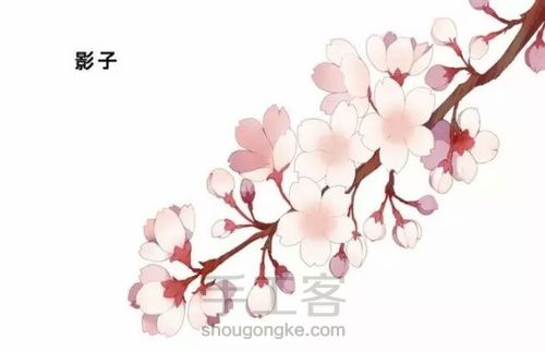 樱花绘画教程 第8步