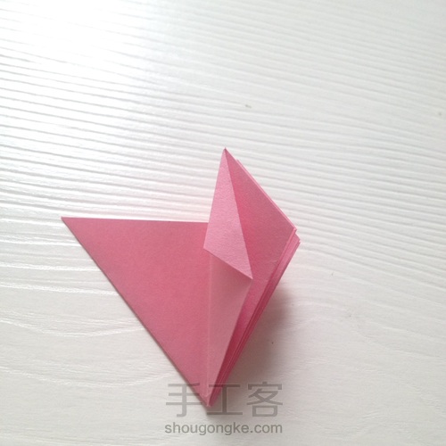 蝴蝶花❀❀ 第6步