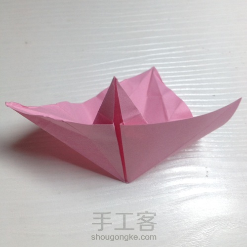蝴蝶花❀❀ 第11步