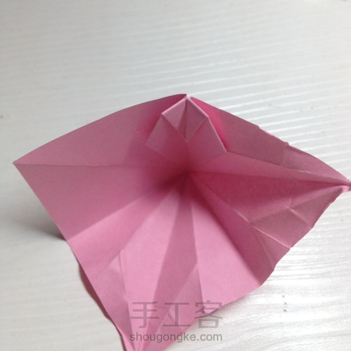 蝴蝶花❀❀ 第12步