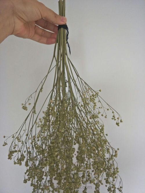 干花制作 第3步