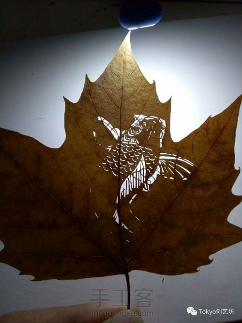 叶雕制作过程分解 第4步