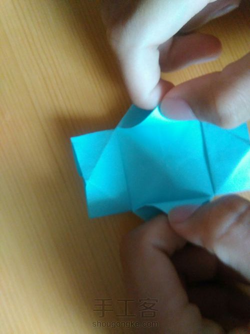 完美牌照相机📷【不能照相,别被标题骗进来然后怪我😂】 第15步