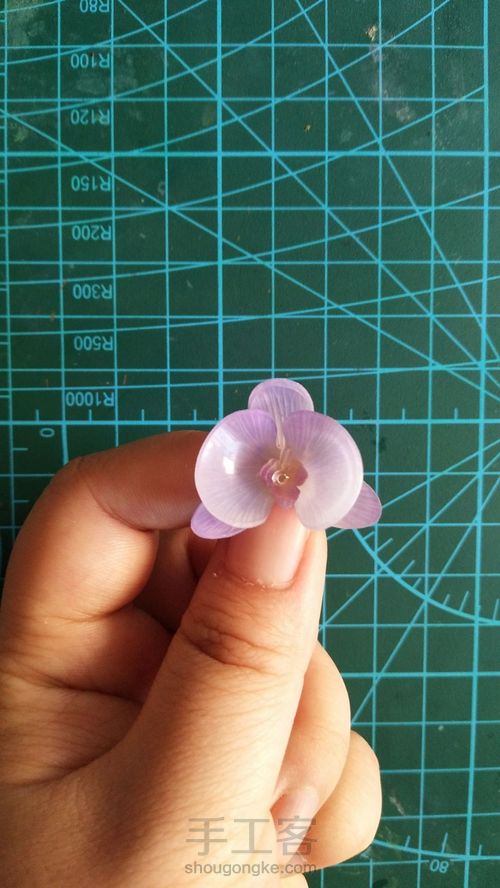 热缩花蝴蝶兰教程 第11步