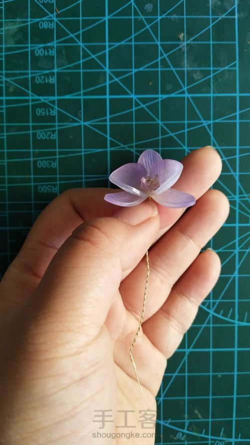 热缩花蝴蝶兰教程 第12步