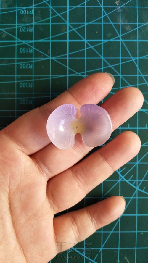 热缩花蝴蝶兰教程 第6步