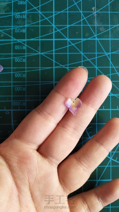 热缩花蝴蝶兰教程 第8步