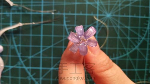 紫菊――菊花热缩教程 第14步