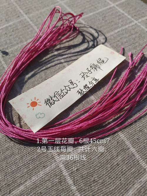 昙花图文 第1步