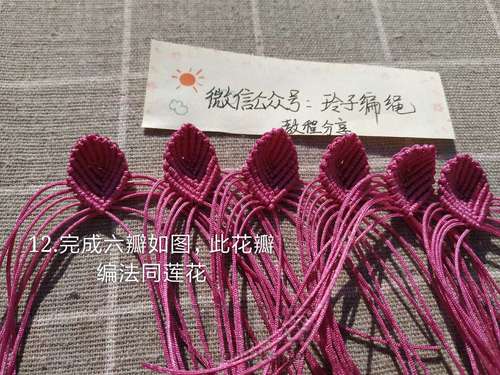 昙花图文 第12步