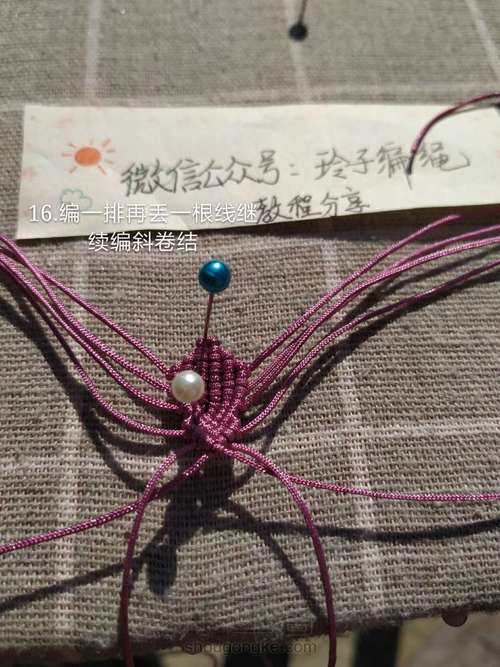 昙花图文 第16步