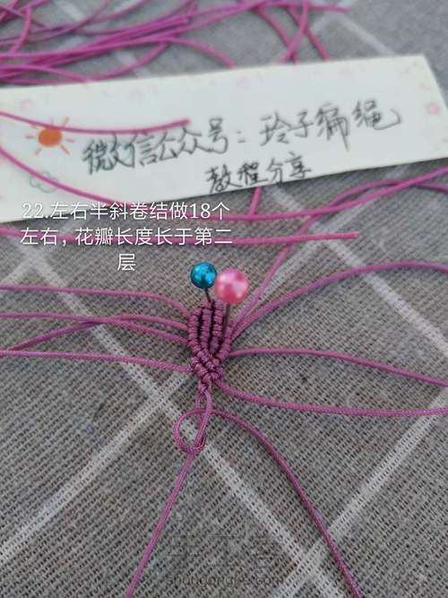 昙花图文 第22步