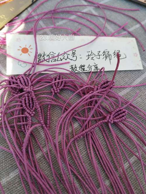 昙花图文 第23步