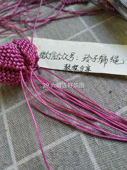 昙花图文 第29步