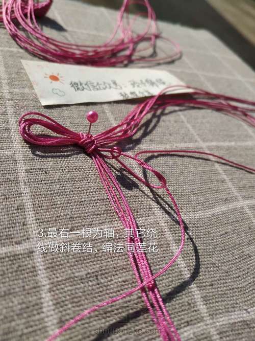 昙花图文 第3步