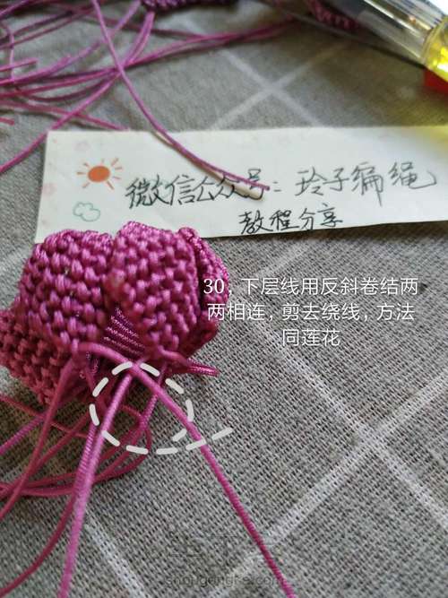 昙花图文 第30步