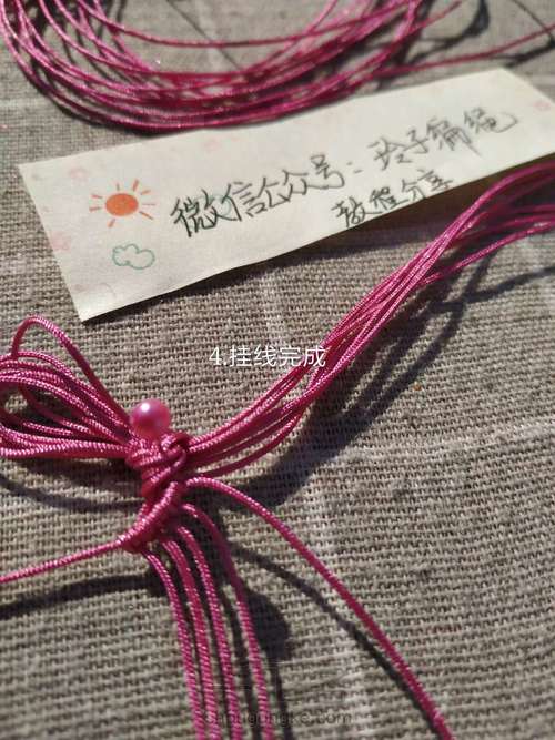 昙花图文 第4步