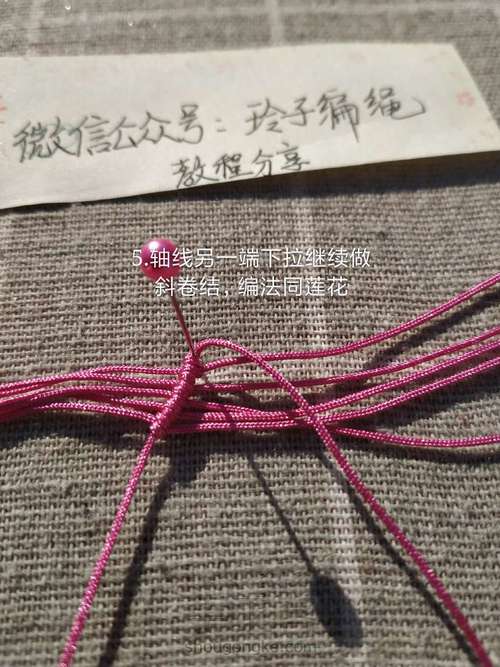 昙花图文 第5步