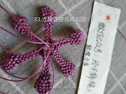 昙花图文 第33步