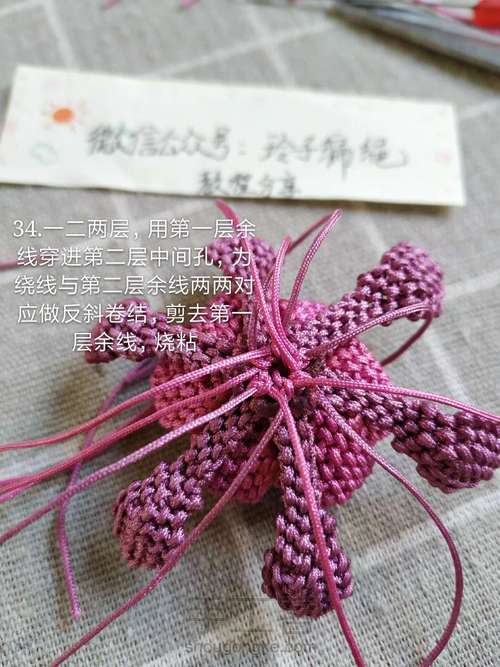 昙花图文 第34步