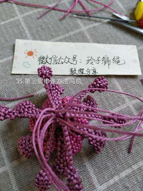 昙花图文 第35步