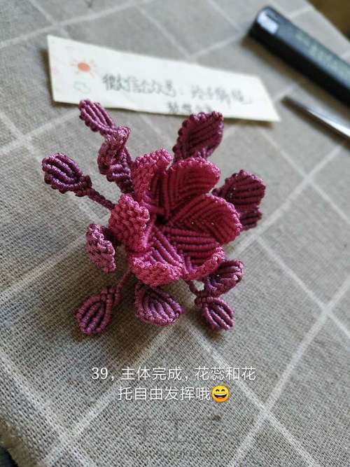 昙花图文 第37步
