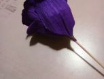 紫色玫瑰🌹
