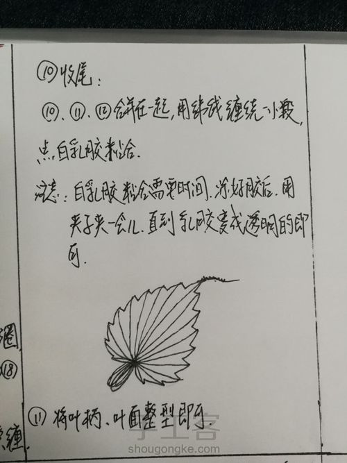 一花一叶一世界 第11步