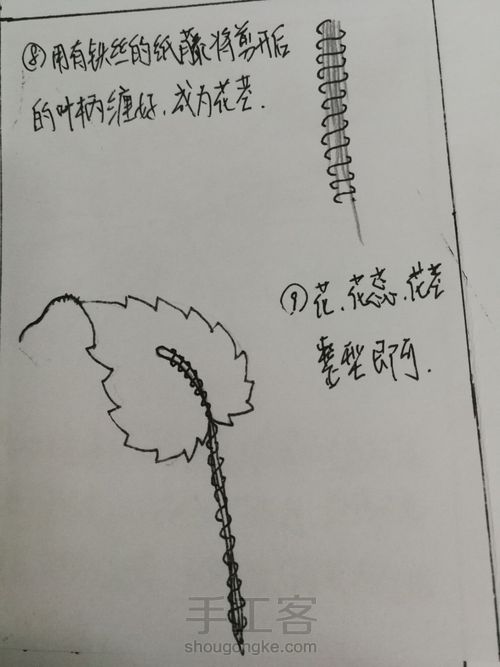 一花一叶一世界 第14步