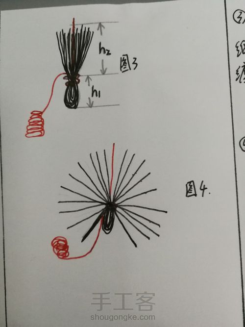 一花一叶一世界 第4步