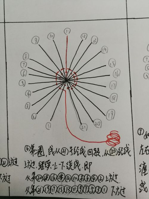 一花一叶一世界 第7步