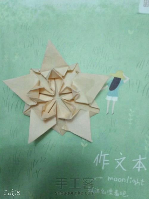 折纸樱花星🌸 第33步