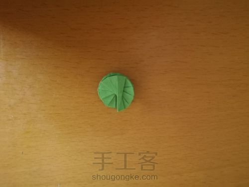 折纸   DNA脱氧核糖磷酸基 第1步