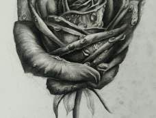 素描玫瑰