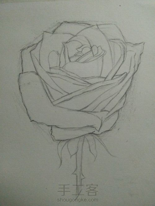 素描玫瑰 第5步