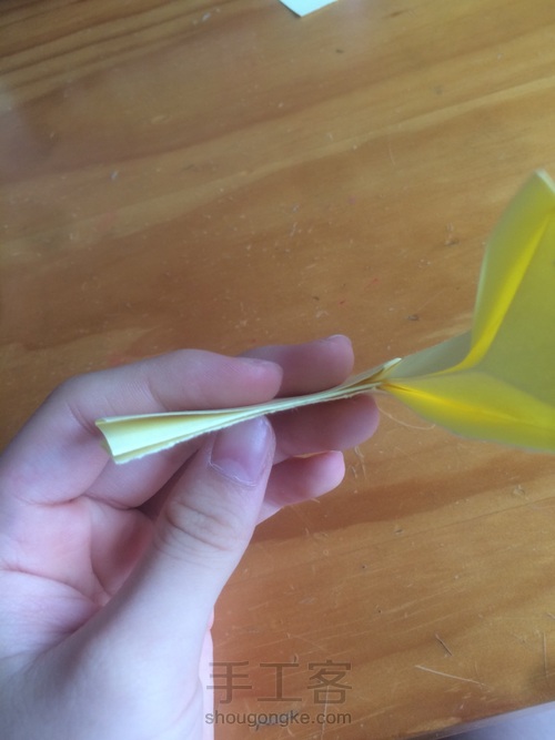 萌萌哒小猫 第21步