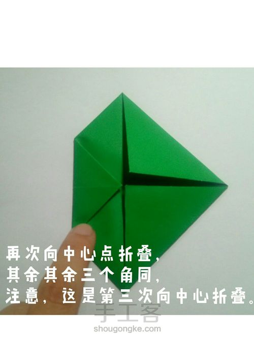 【实拍教程】雪莲 第4步