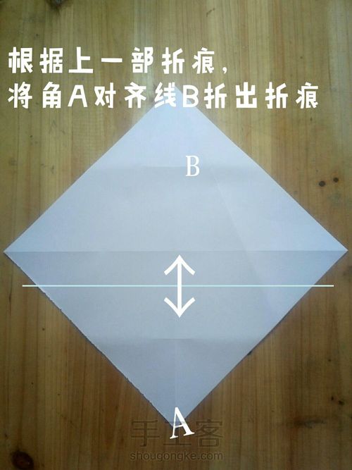 【实拍】和平鸽 第4步