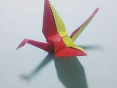 练习用不同形色的正方形纸折叠，和普通纸鹤的步骤差不多