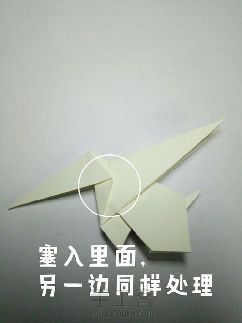 【实拍】象 第30步