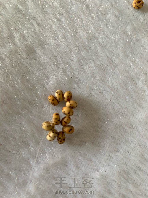 星月菩提葫芦 第2步